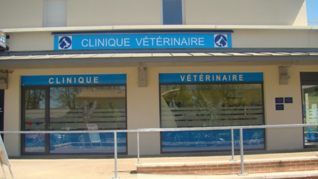 clinique vétérinaire devenir dog-sitter