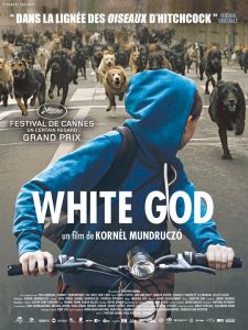 White God film