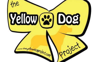 the yellow dog project