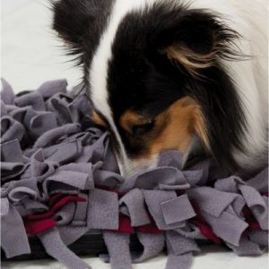 tapis olfactif chien anxiété de séparation zooplus